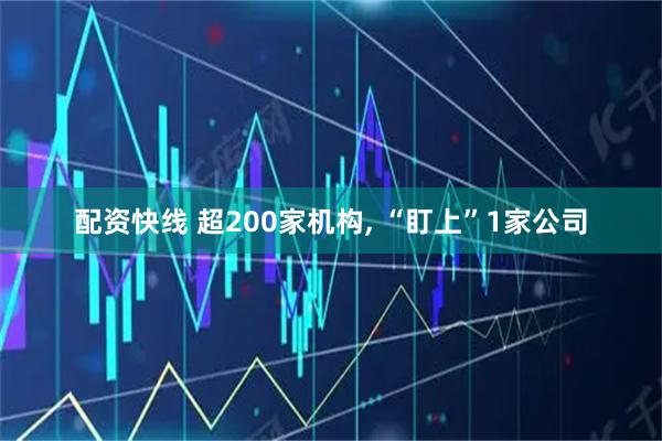 配资快线 超200家机构, “盯上”1家公司